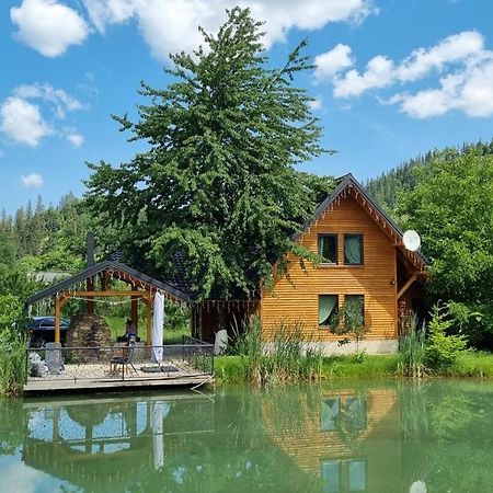 Moonlake Chalet Gainesti 외부 사진