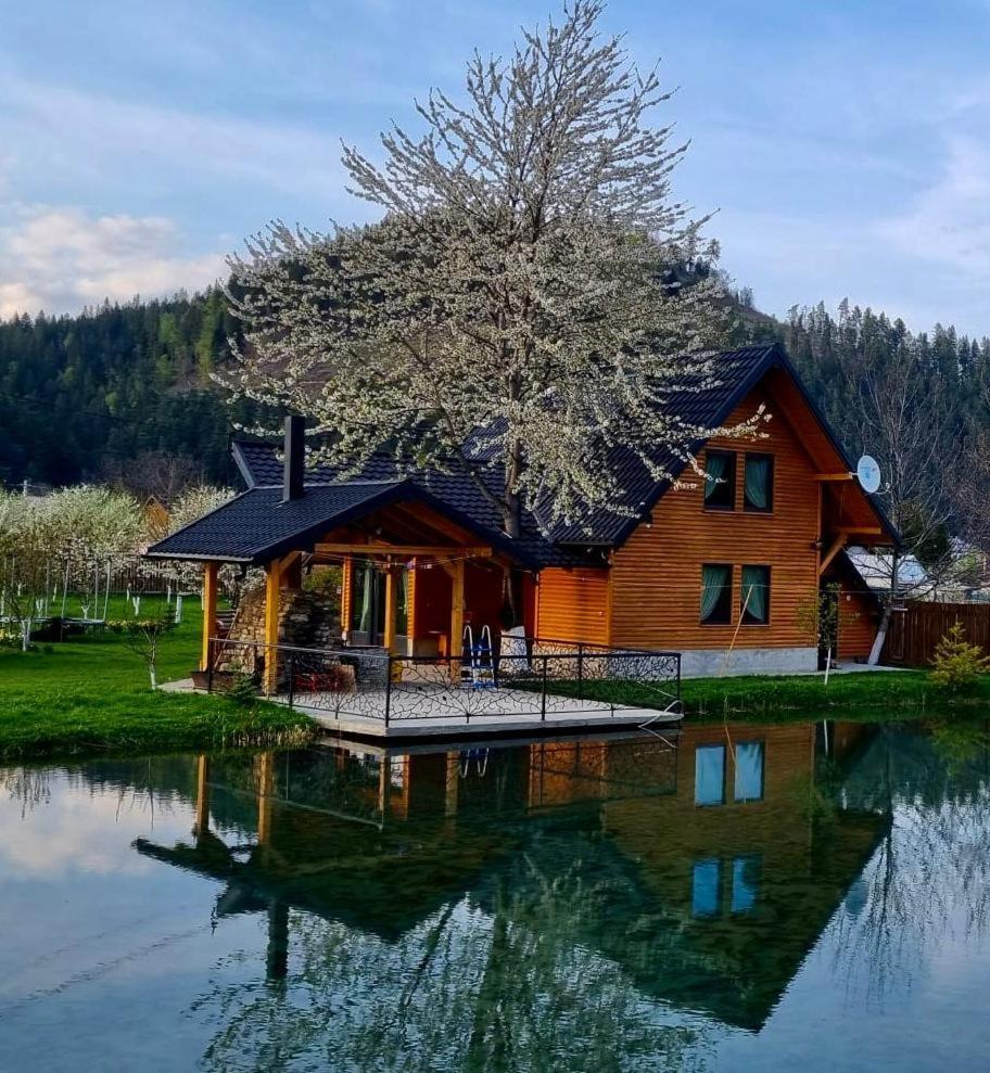 Moonlake Chalet Gainesti 외부 사진