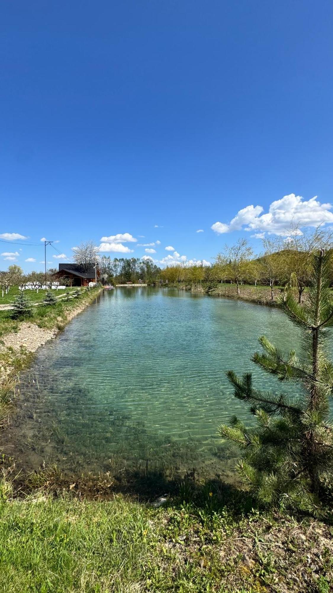 Moonlake Chalet Gainesti 외부 사진
